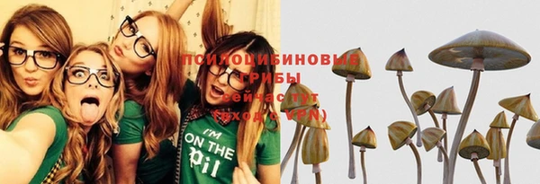 хмурый Белоозёрский