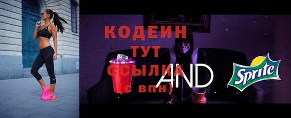 трава Белокуриха