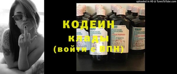 трава Белокуриха