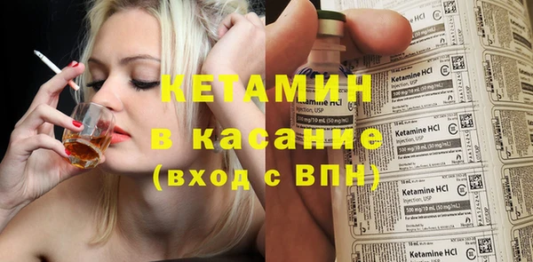 трава Белокуриха