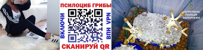 Псилоцибиновые грибы мухоморы  где купить наркоту  Яблоновский 